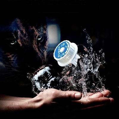 Instant Electric Water Heater